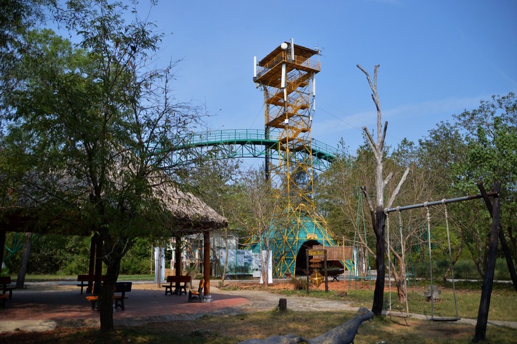 vam sat tourist area vietnam photos - can gio