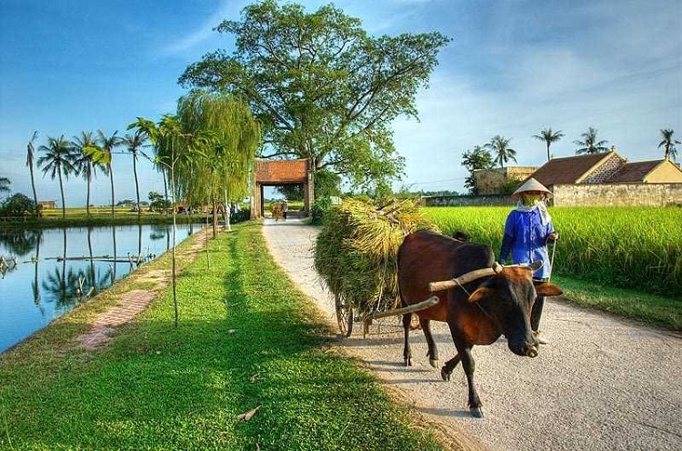 van lam village ninh binh