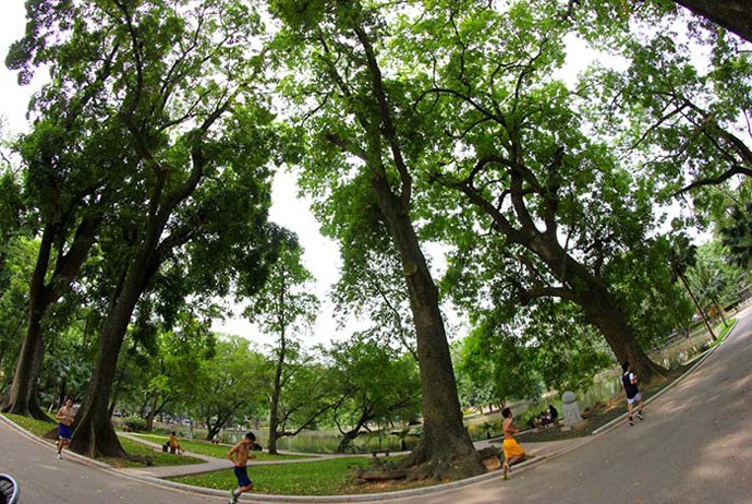 Hanoi Activities