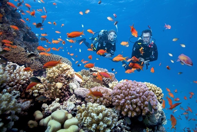 what are attractions in hon mun island - visit hon mun marine park