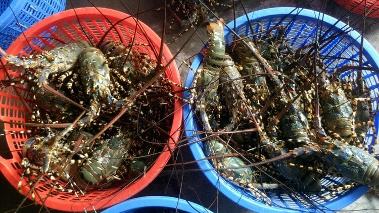 what to buy as a gift when visiting bai rang beach vietnam photos - bai rang beach