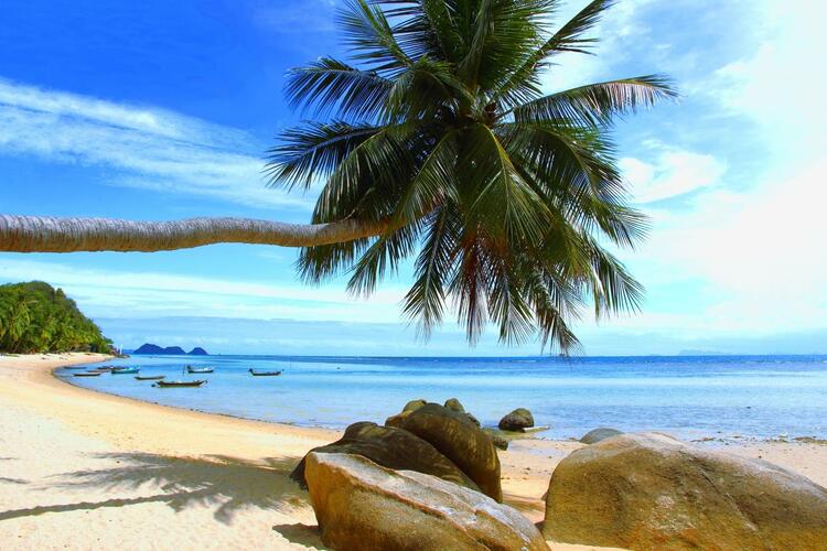 what to explore at bai dai beach beautiful bai dai beach