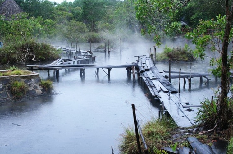 what to explore at binh chau - phuoc buu nature reserve binh chau - phuoc buu nature reserve in vung tau