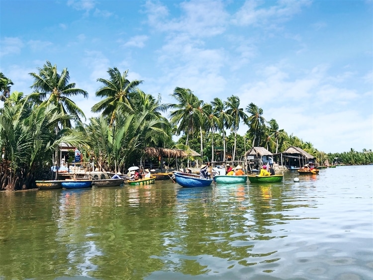 what to know about it vietnam photos - bay mau coconut forest
