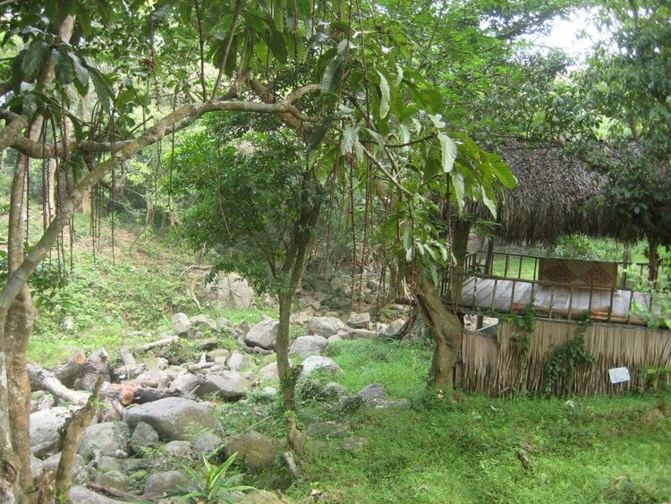 what to eat and where to stay vietnam photos - nhat lam thuy trang tra