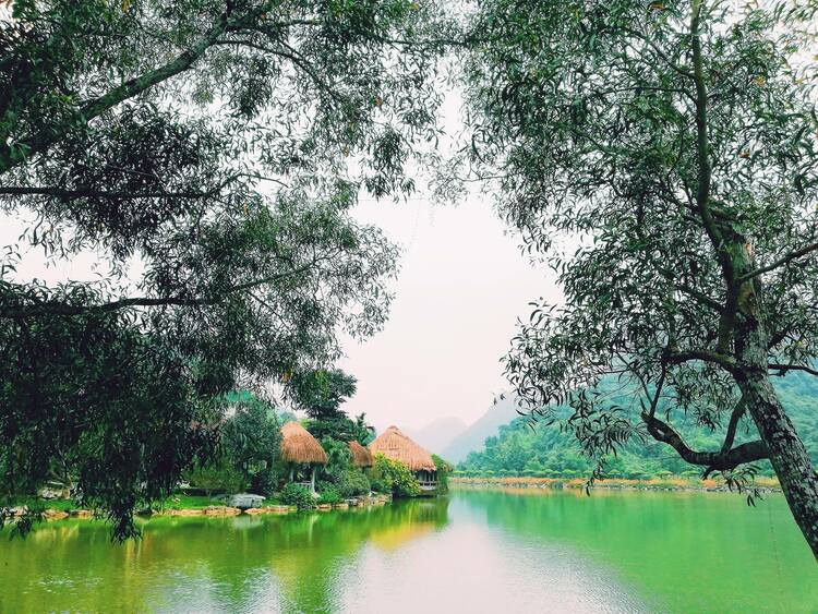 when is the best time to explore thung nham bird garden thung nham bird garden ninh binh